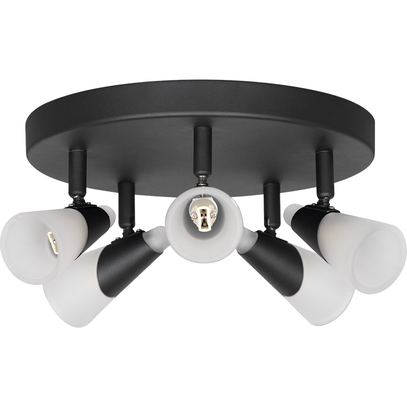 Simple Ceiling Lamp with Five Frosted Glass Shades And G9 Bulbs