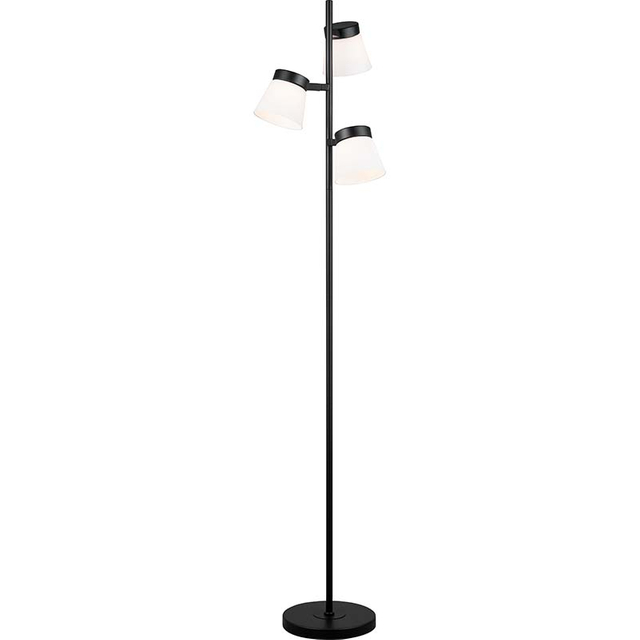 Modern Simplify Design with Opal Glass Shape Black Floor Lamp 3lys G9