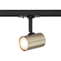  Lighting with the Sleek and Modern 3-Wire Track Surface Spot Light Set in Matt Brass