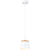 Simple Modern Single Lamp with Wood Decor Pendent Light G9