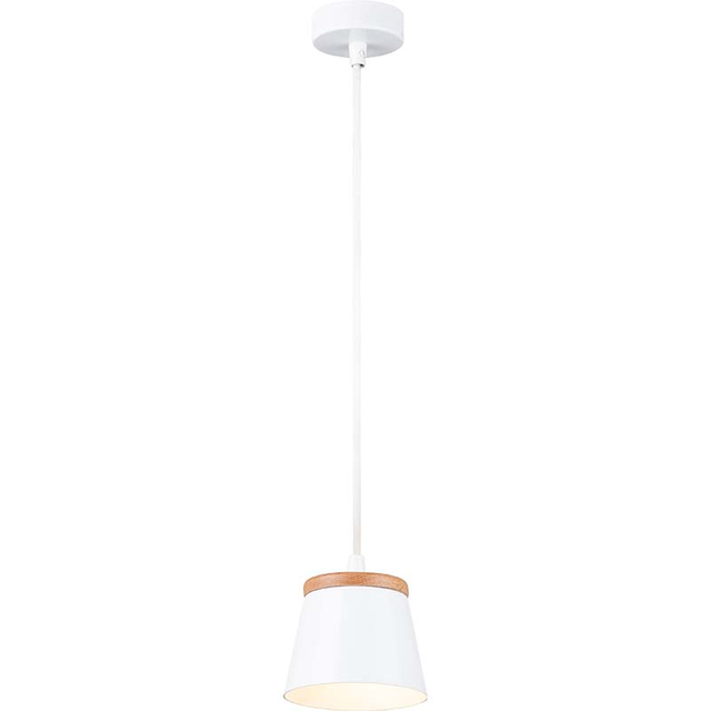 Simple Modern Single Lamp with Wood Decor Pendent Light G9