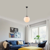 Simple Light Hanging Adjustable Opal Grass Ball Pendant Light Dia35cm Matt Black E27