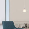 Simple Classic Design of Alabaser Glass Window Pendant Light E14