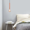 Simple Attractive Slim Pendant Adjustable Window Pendant Light Matt Copper E27