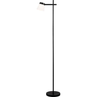 Modern Simplify Design with Opal Glass Shape Black Floor Lamp G9