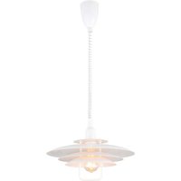 Nordic Round Light Attractive Chandelier Pendent with SSQP To Adjust The Height Matt White E27