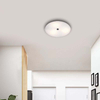 Attractive Opal Apple Glass Mini Decor Bathroom Ceiling Lamp IP21 E27