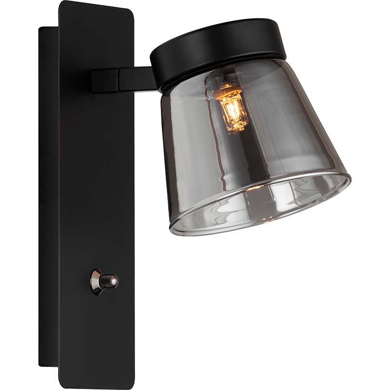 Modern Decorative Wall Light with G9 Dimmable LED Bulb and Smoke Glass Shade