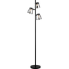 Simple Design Black Floor Lamp with Smoke Glass Shades and G9 Lighting